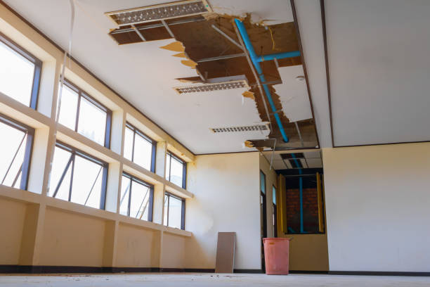 Best Flood damage cleanup  in Grayson, GA