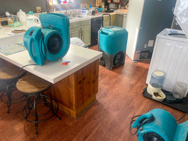 Best Fire Damage Restoration  in Grayson, GA
