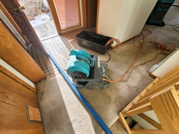 Best Basement water damage restoration  in Grayson, GA