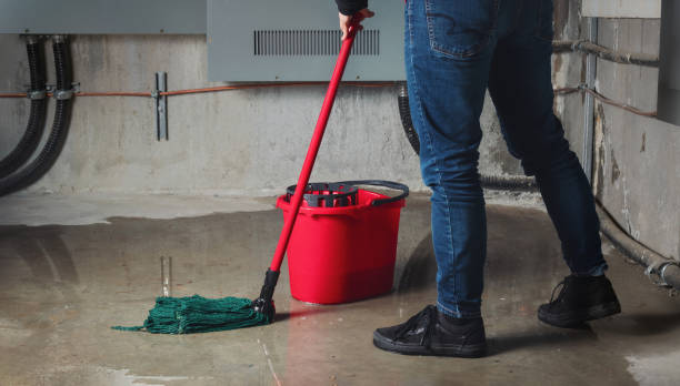 Best Water damage restoration near me  in Grayson, GA