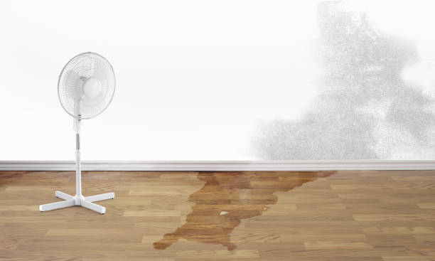 Reliable GA Water damage restoration Solutions