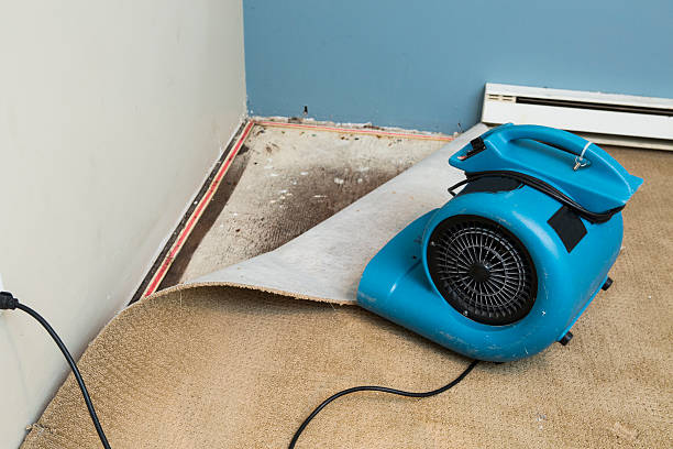 Sewage cleanup and water damage restoration in GA
